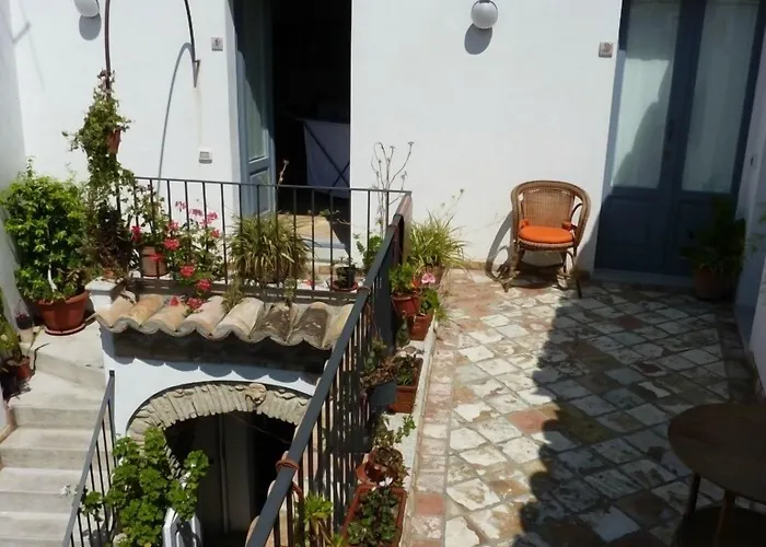 B&B Amphisya