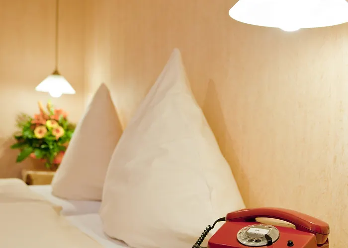 Hotel Birkenstern Bad Wildungen