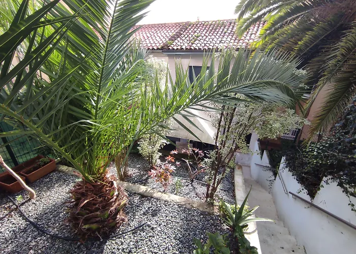 Los Patios De Santander