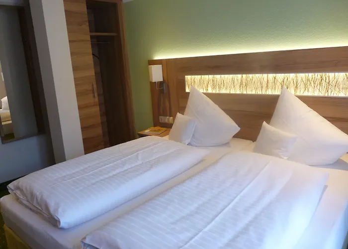 Hotel- Landgasthof Baumhof-Tenne Marktheidenfeld