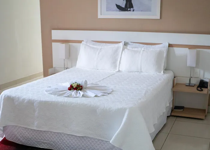 Monza Comfort Hotel João Monlevade