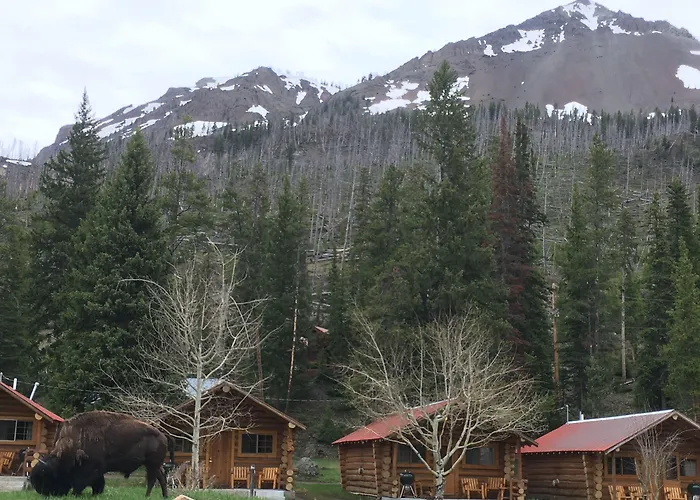 Silver Gate Lodging Cooke City