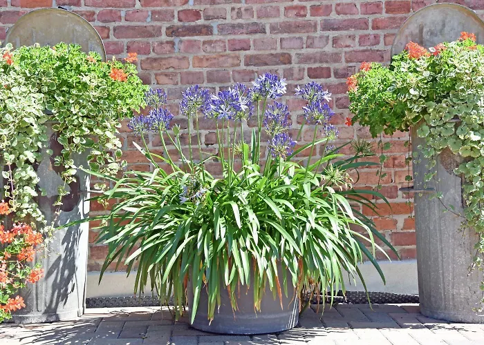 Julias Havelherberge Havelberg