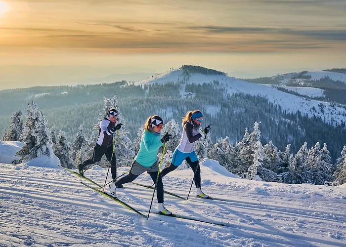 Ferienhotel Hubertus Bodenmais