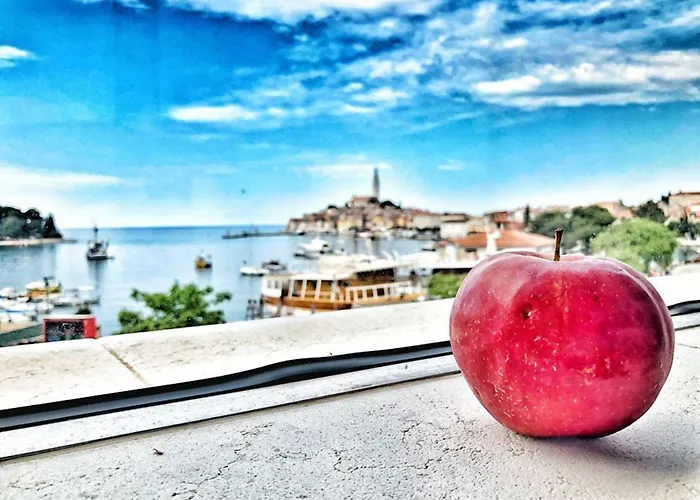 Hotel Delfin Rovinj