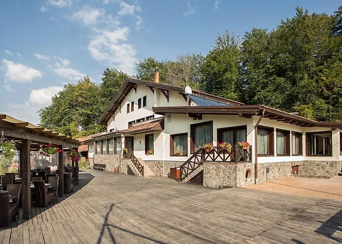 Hotel Domeniul Dambu Morii Timișu de Jos