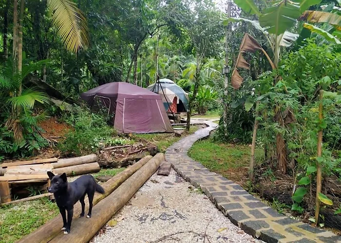 Sitio Simple Life Acomodação com café da manhã Ubatuba