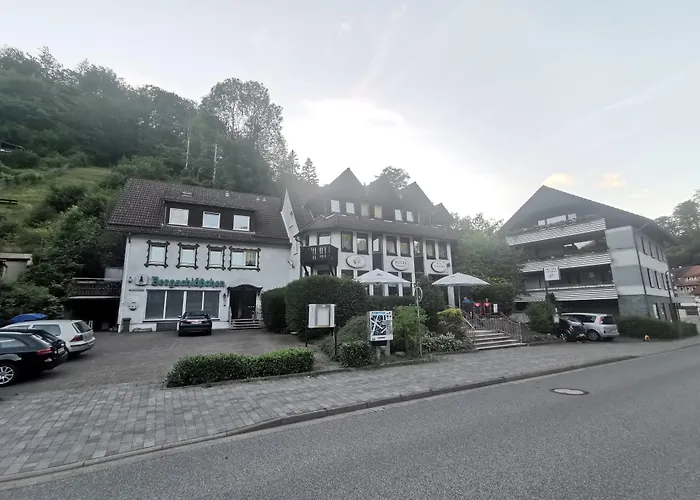 Hotel And Restaurant Bergschloesschen Zorge
