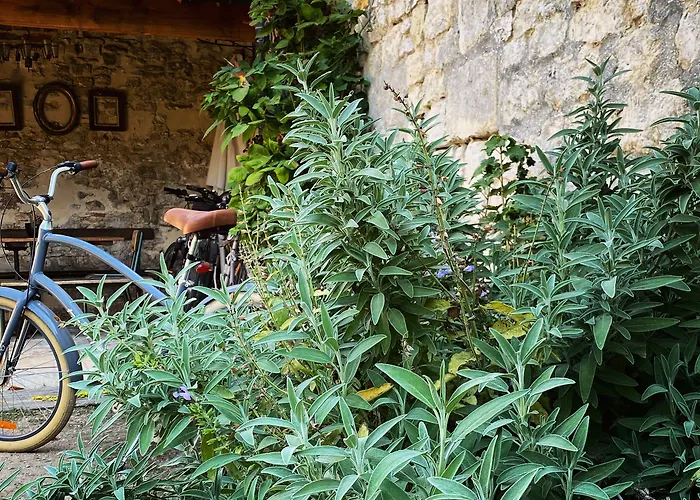 Fab House - Les Maisons Fabuleuses Senlis 