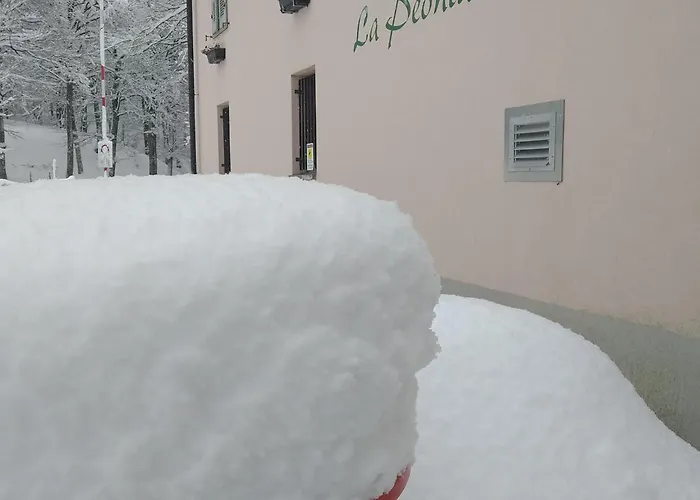 Osteria con Alloggio La Peonia
