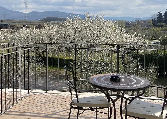 Hotels in Bardolino