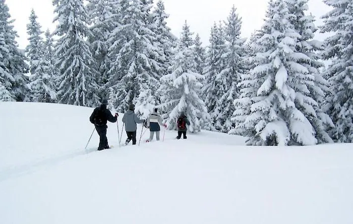 Hotel Seeblick Goldegg im Pongau