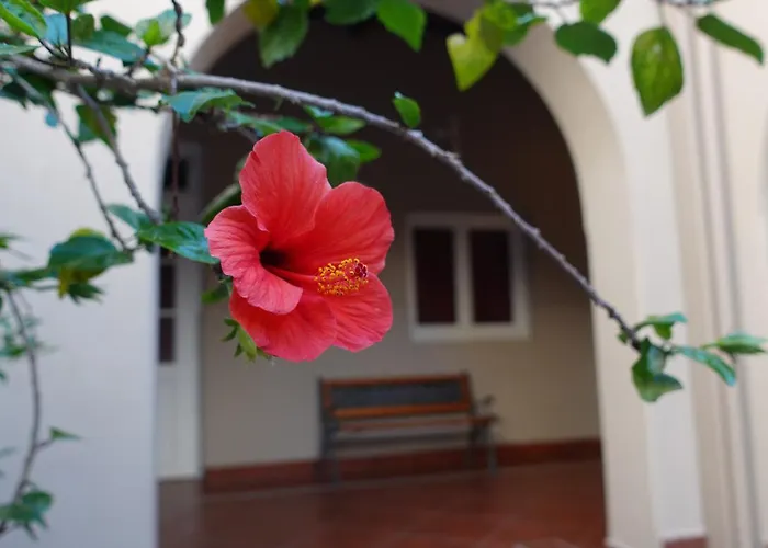 Hotéis de Salta