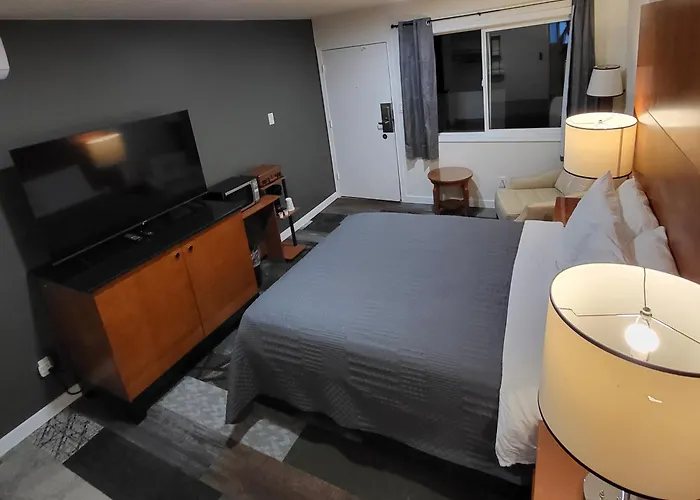 Shelton Inn