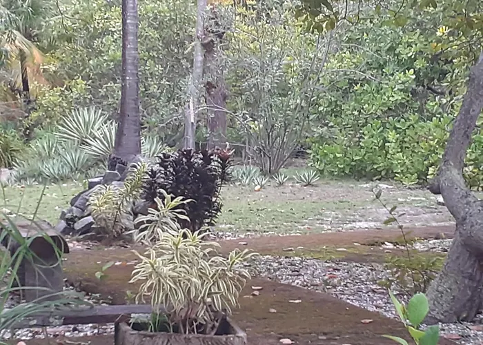 Ecolodge Batel Alagoas