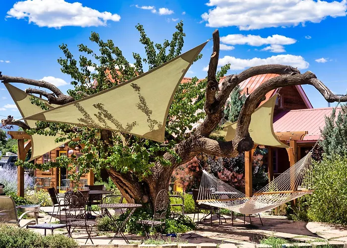 The Loubird Inn