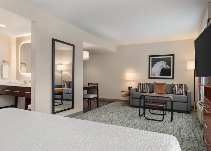 Homewood Suites Techridge Parmer @ I-35
