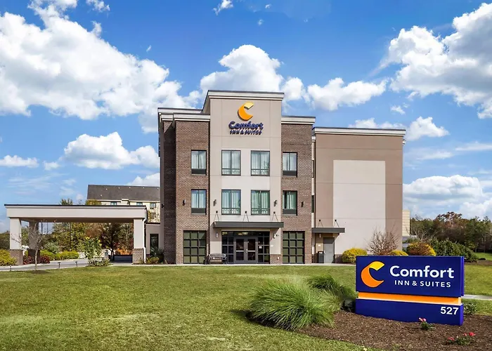 Comfort Inn & Suites Florence Center Area
