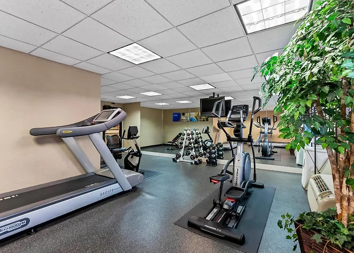 Comfort Inn & Suites Somerset - New Brunswick