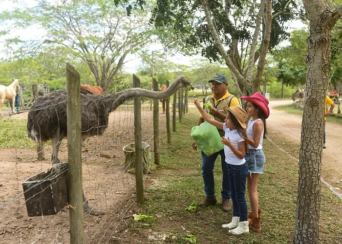 Pousada Fazenda Santa Fe Bezerros
