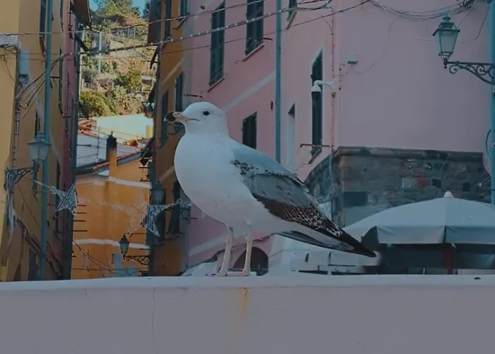A Ca Di Bafirussi