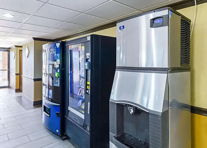 Quality Inn & Suites Lubbock South