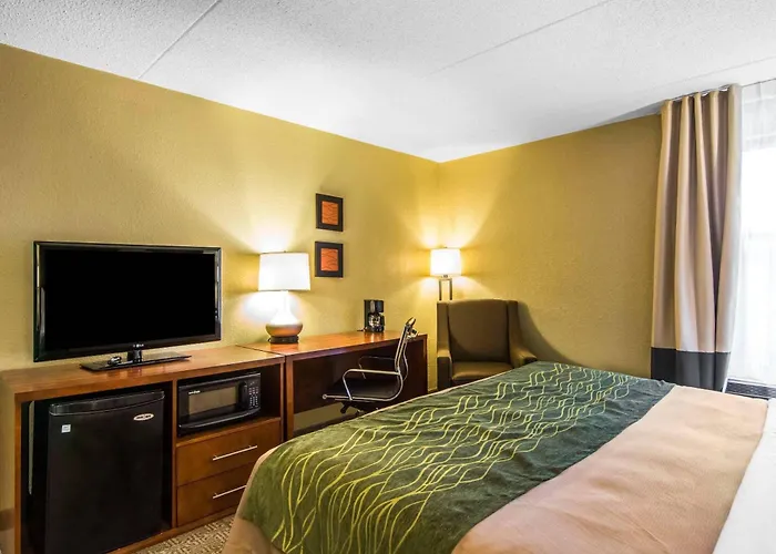 Quality Inn