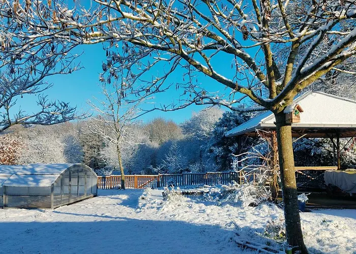 Gîte L'Orée des Bois