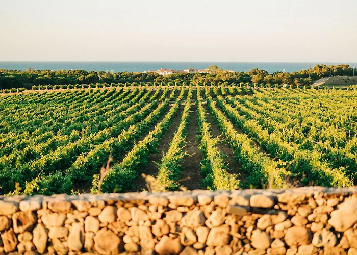 B&B Château Valmy - Teritoria Argelès-sur-Mer