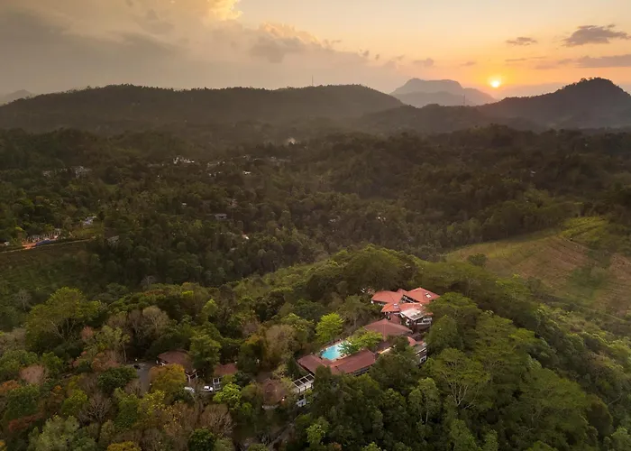 Tree Of Life Nature Resort Kandy