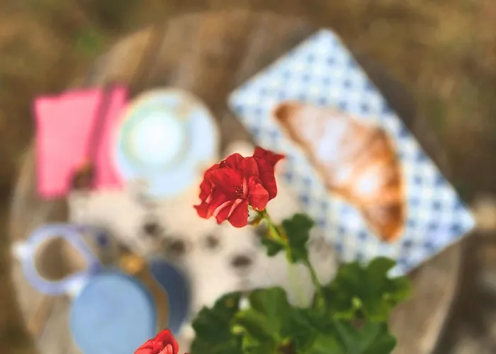 Bed and Breakfast Torre Della Chiocciola Monteriggioni