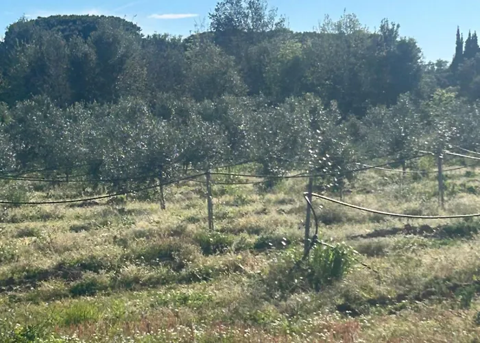 Camera graziosa Albinia