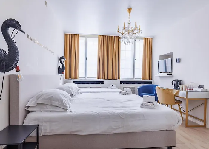 The Black Swan Hotel Brujas