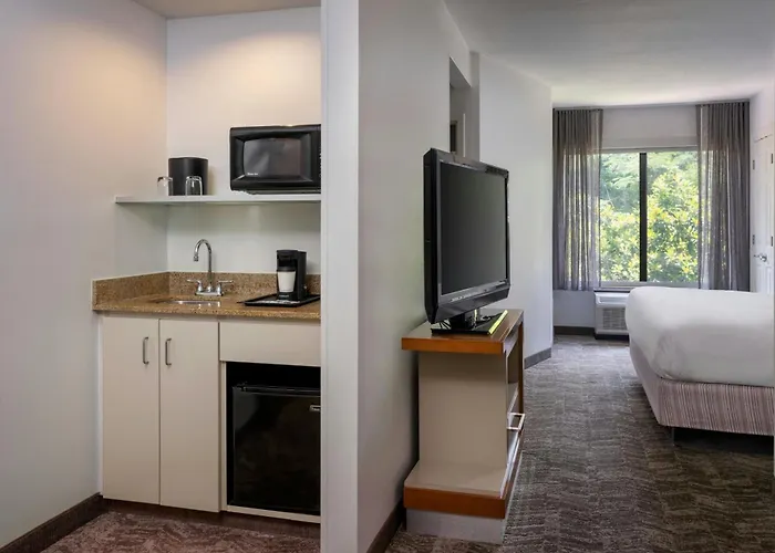 Springhill Suites By Marriott Charleston North North Charleston