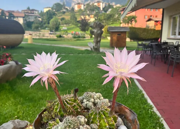 Hotel Garni Relax Fai Della Paganella
