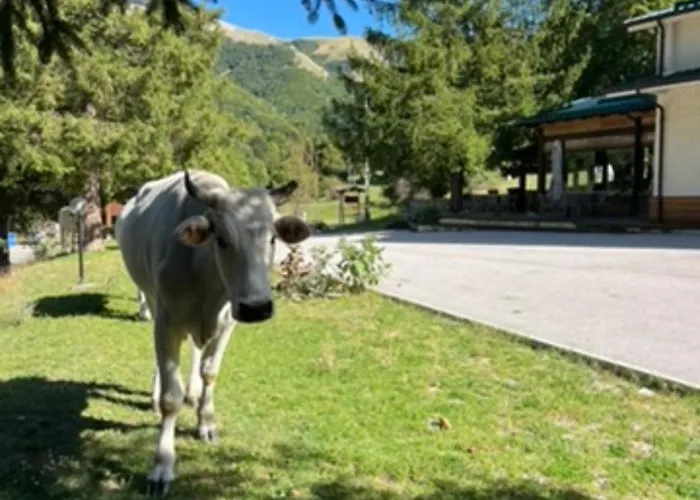 Hotel Campo Stella