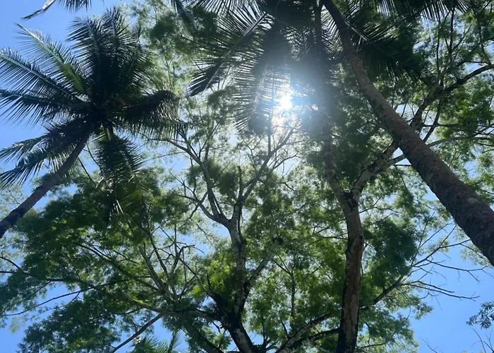 Ceiba lodge