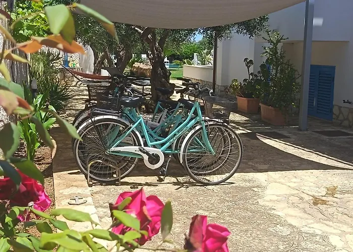 Signorino Eco Resort & Spa Lido Signorino