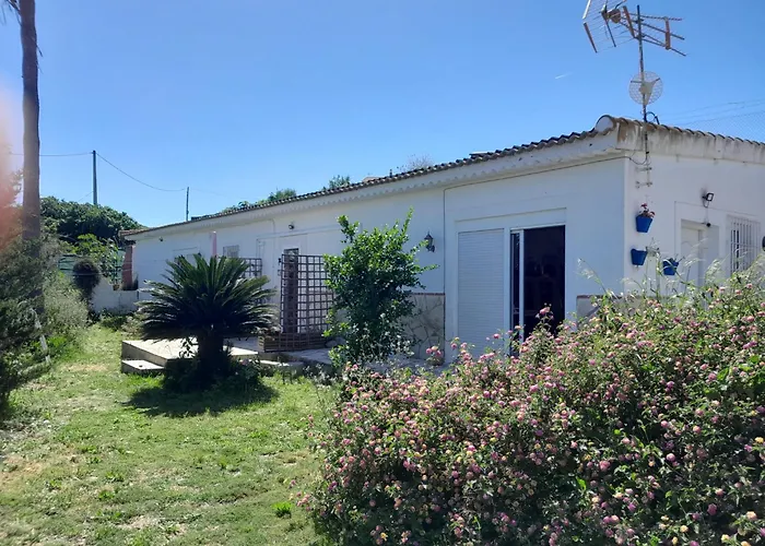 Bed and Breakfast La Rana Azul Vélez
