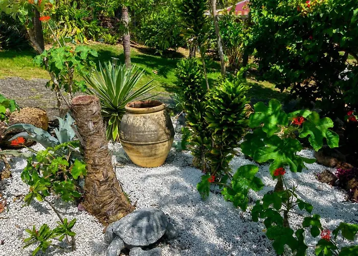 BUNGALOW La Tortue Bleue