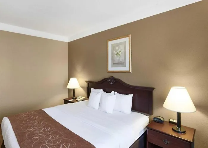 Comfort Suites Plainview