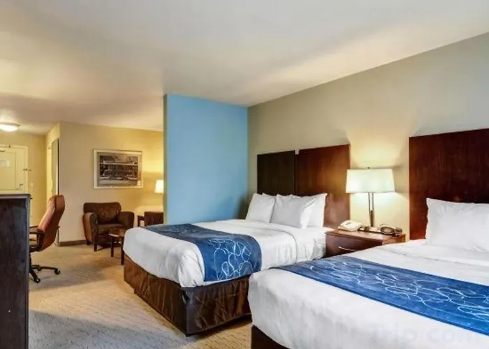 Comfort Suites Near Hot Springs Park