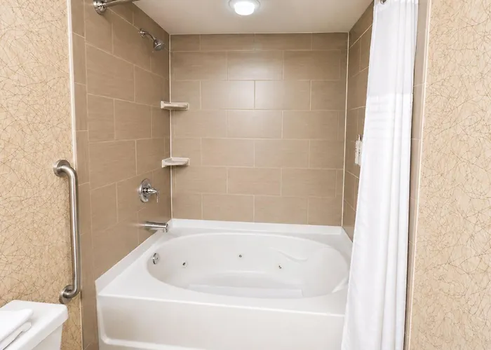 Holiday Inn Johnson City By Ihg