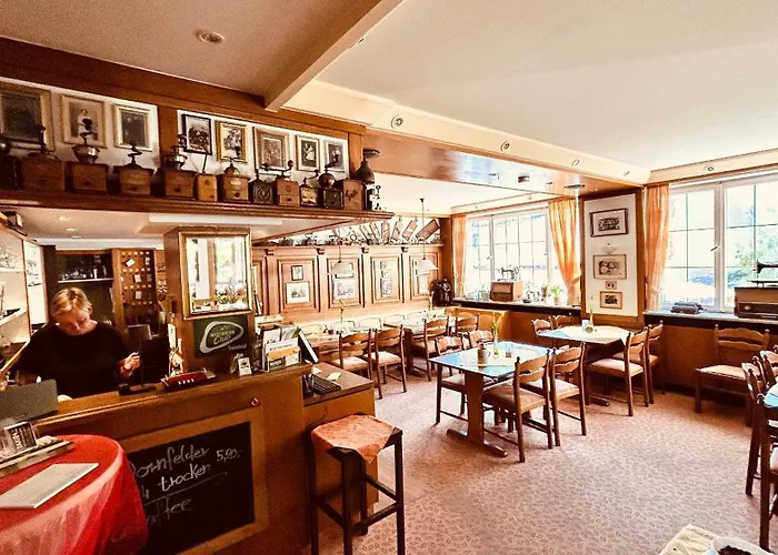 Hotel-Landgasthof Grüner Baum - Dittigheim Tauberbischofsheim