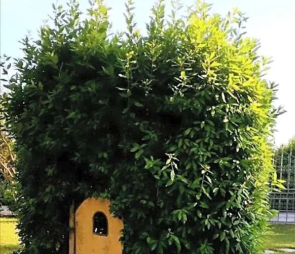 Villa Oasi San Giuliano Terme