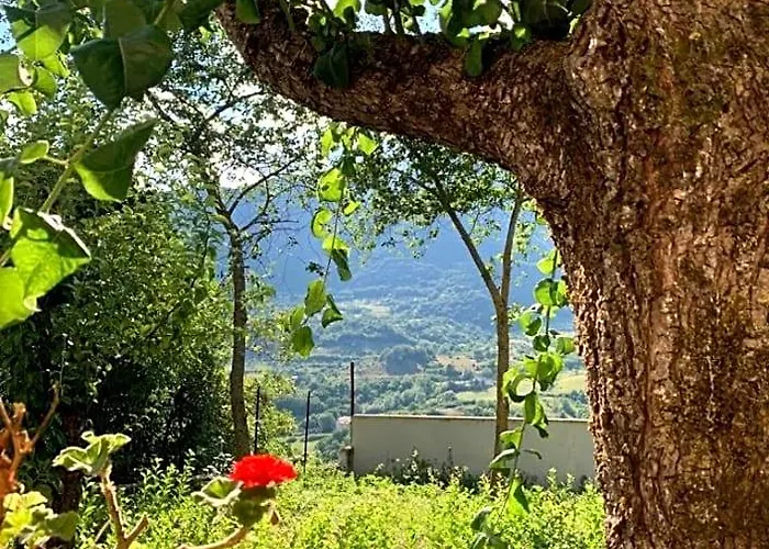 B&B Al San Francesco