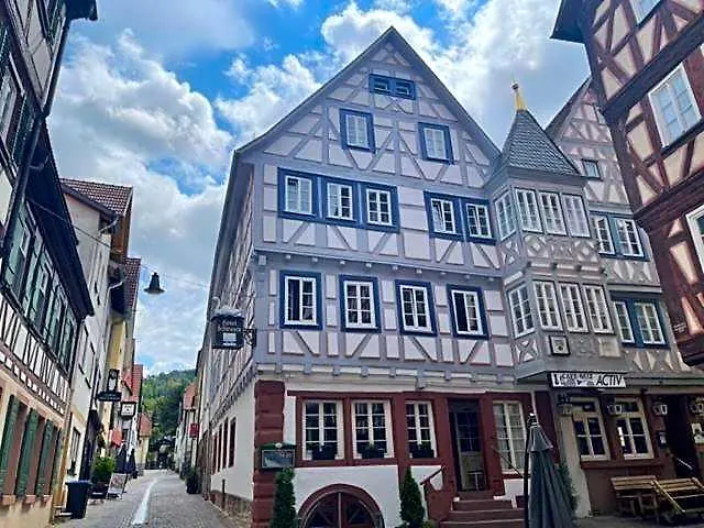 Hotel Schwanen Mosbach 