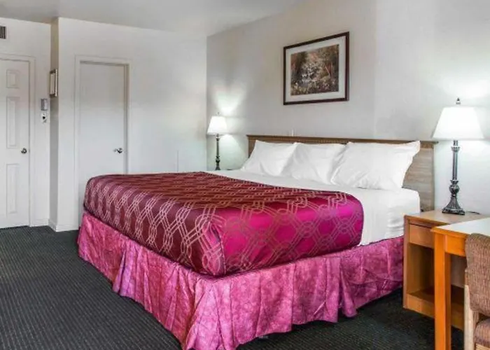 Econo Lodge Inn & Suites Durango
