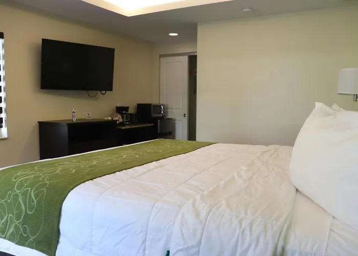 Curtis Inn & Suites