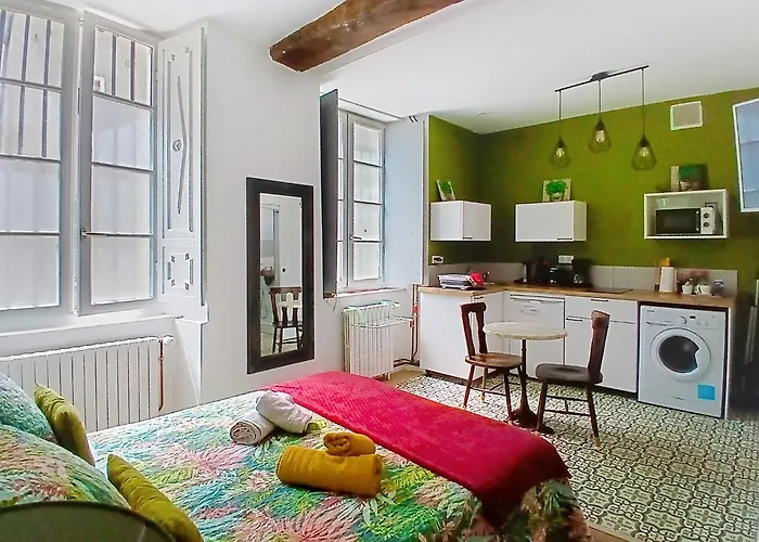 Hotel Les Glycines Oloron